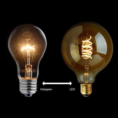 puzzel Actie Over instelling Halogeen vervangen door LED: in alle opzichten een goed idee | Rietveld  Licht