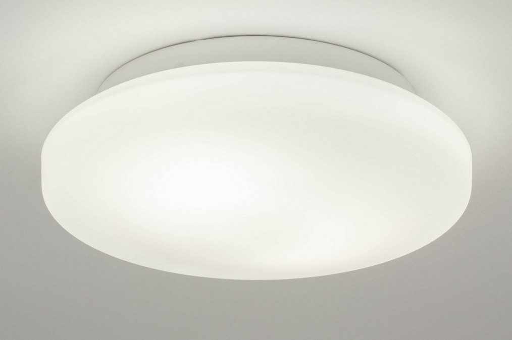 Grommen Kietelen Articulatie Plafondlamp 12471: Modern, Glas, Wit Opaalglas, Metaal