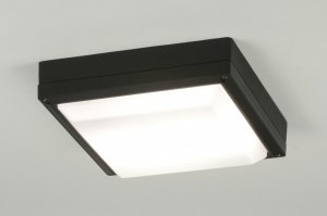 Plafondlampen voor buiten |Koop direct online Rietveld Licht